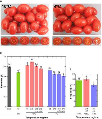 Transcriptome Responses of Ripe Cherry Tomato Fruit Exposed to Chilling and Rewarming Identify Reversible and Irreversible Gene Expression Changes